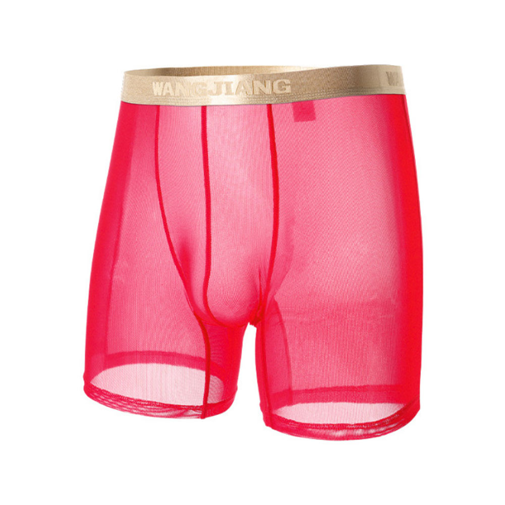กางเกงบ็อกเซอร์ชายแบบตาข่ายโปร - Boyshort Underwear บทวิจารณ์และราคา